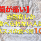 固形物が食べられない人にオススメの食べ物10選！【親知らず抜歯】