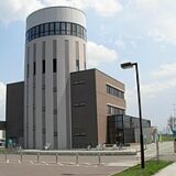 【観光】大沼公園固定公園のアヒルボートと団子レビュー